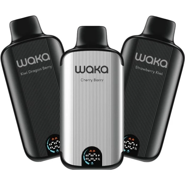 WAKA | SO PRO 15000 | DISPOSABLE | 5 CT product image