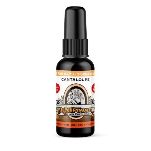 BLUNT POWER | AIR FRESHNER | 1.5 OZ/ CT product image