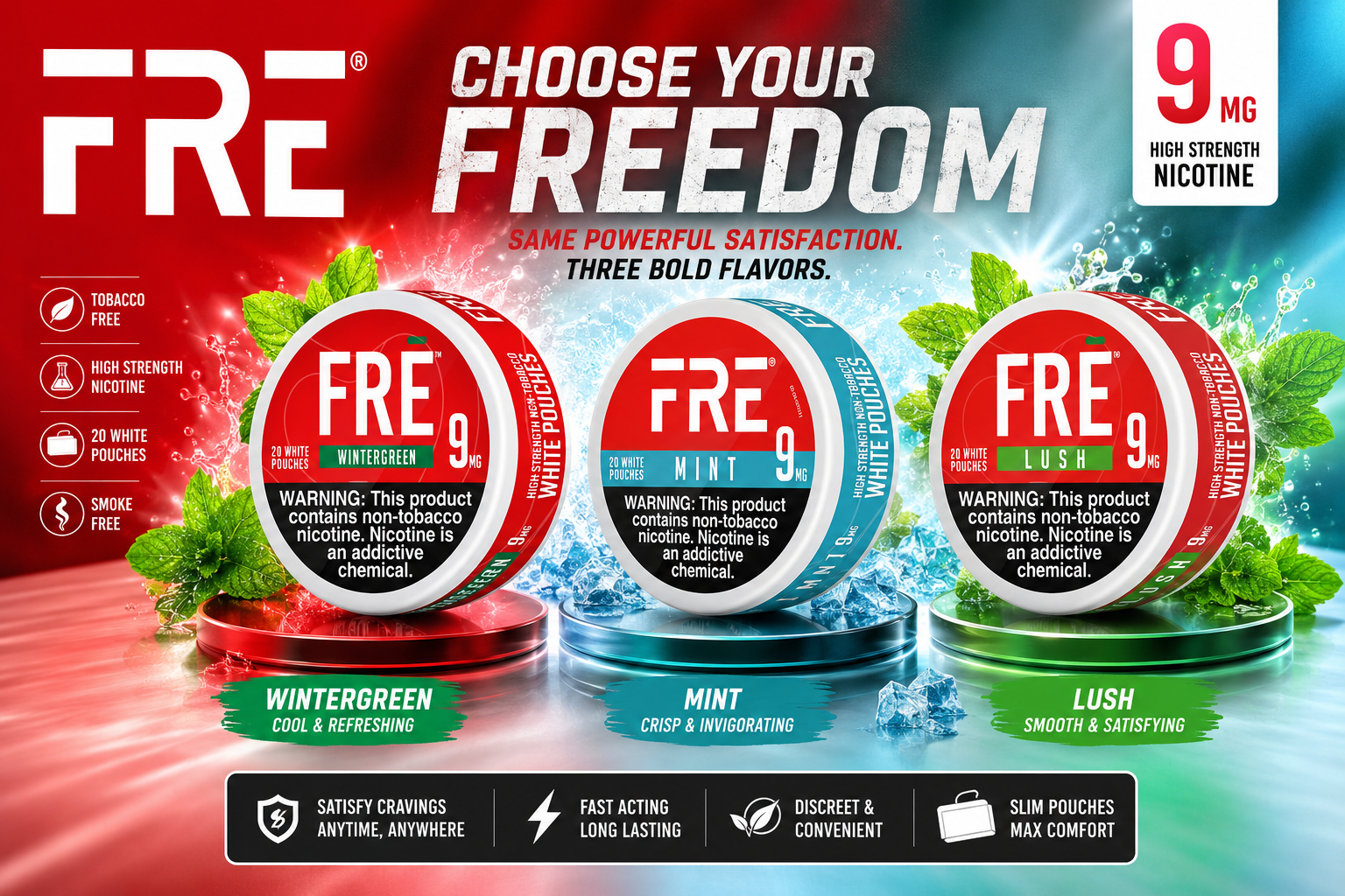 Fre Nic Pouch 9MG 5CT Pre Priced $2.99 product image
