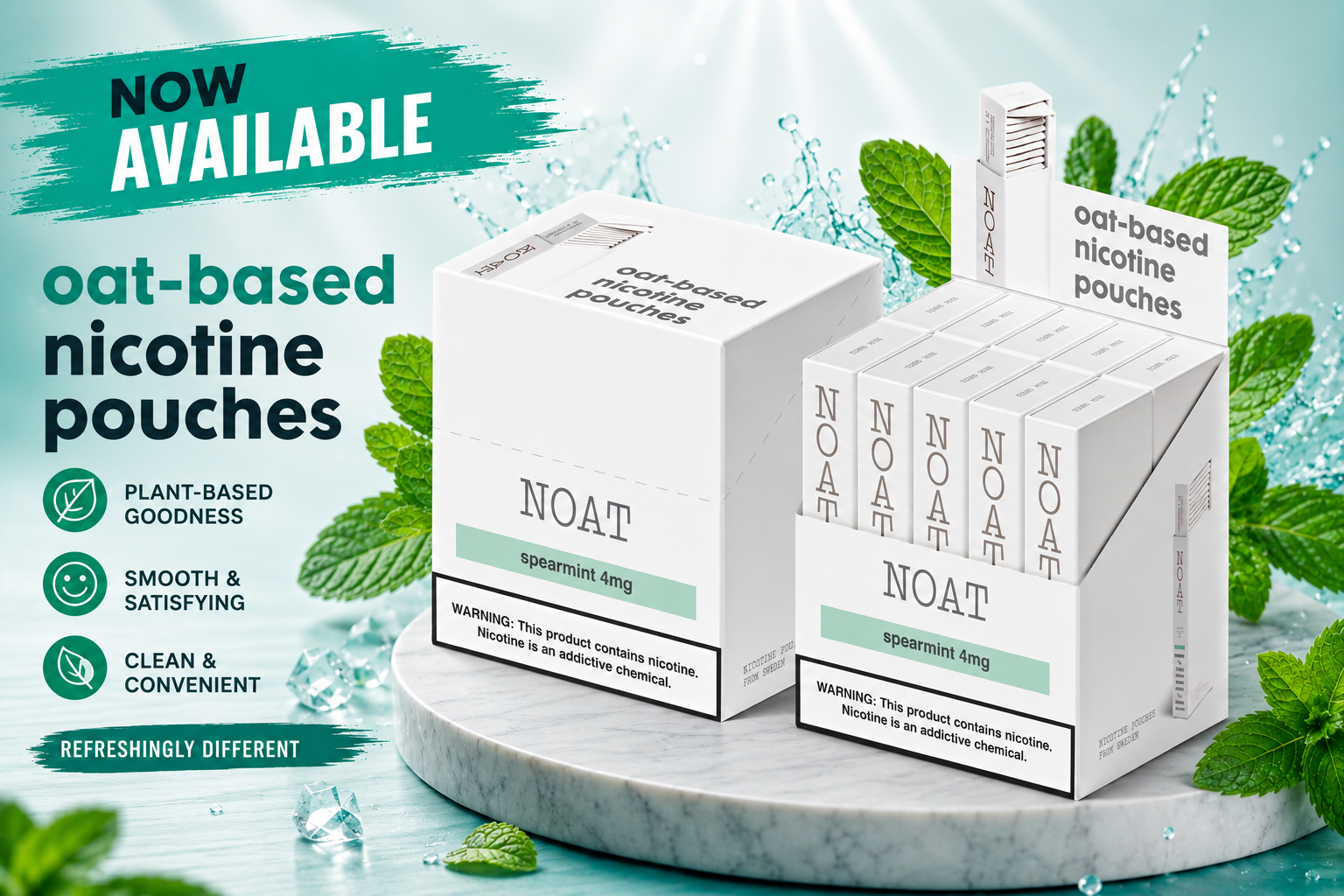 NOAT Nicotine Pouches 4MG 10CT (C12) product image