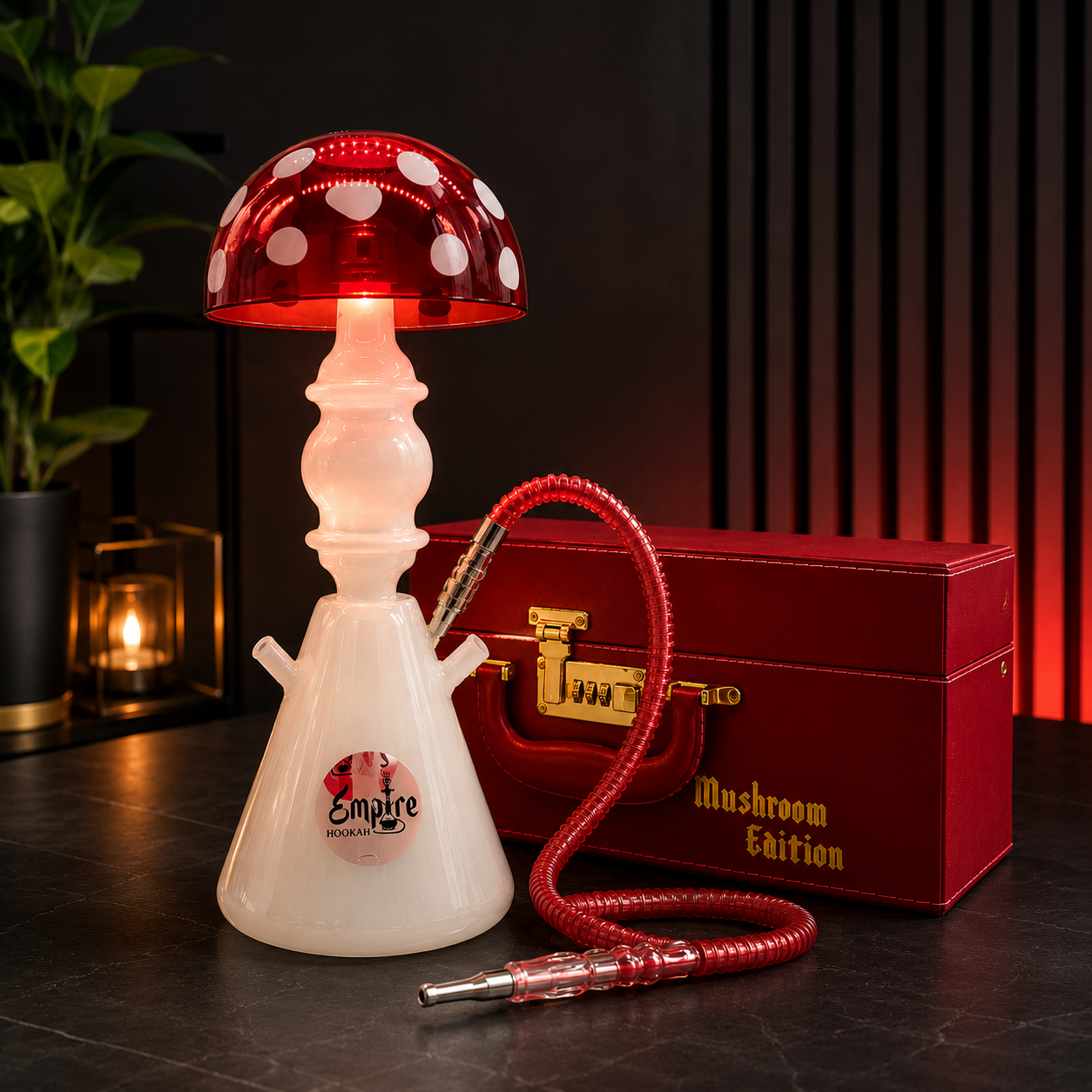 https://dnfbqhh6e48qy.cloudfront.net/public/wisemen-wholesale/products/a0550ae0-bde2-49e7-95b4-beab4efce59d17813083090932026-06-12-20-49-25kzAyM.png