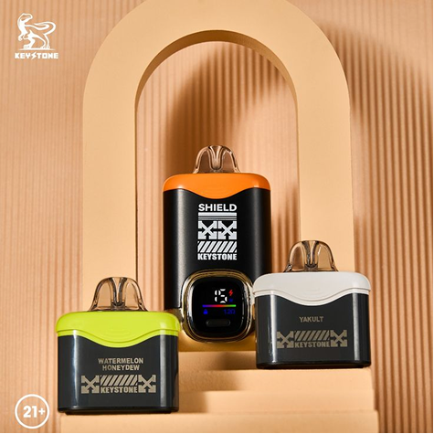 elfbar nachfüll pod läuft aus BANG KING 50K Puffs CITY DSK044 Screen Bulk Buy Rechargeable Disposable  Vapes Wholesale main image 1